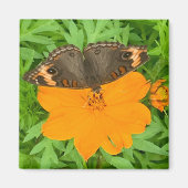 Butterfly Magnet (Vorne)