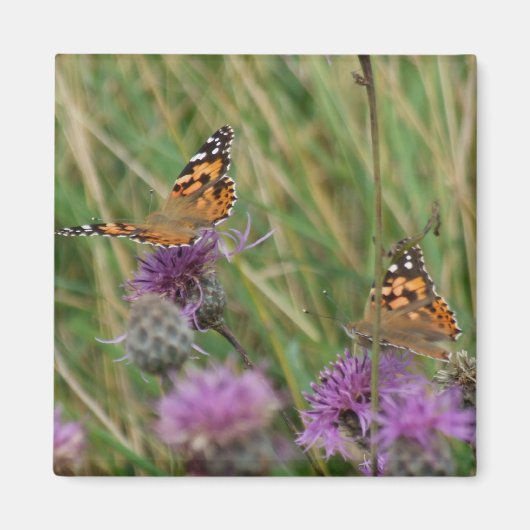 Butterfly Magnet (Vorne)