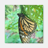 Butterfly Magnet (Vorne)
