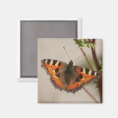 Butterfly Magnet (Vorderseite/Rückseite)