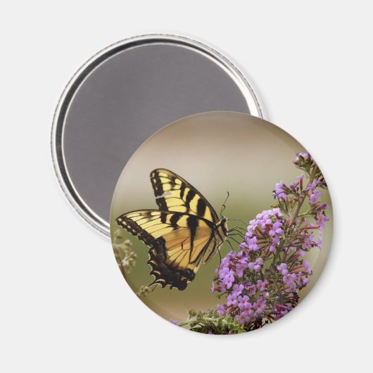 Butterfly Magnet (Vorderseite/Rückseite)