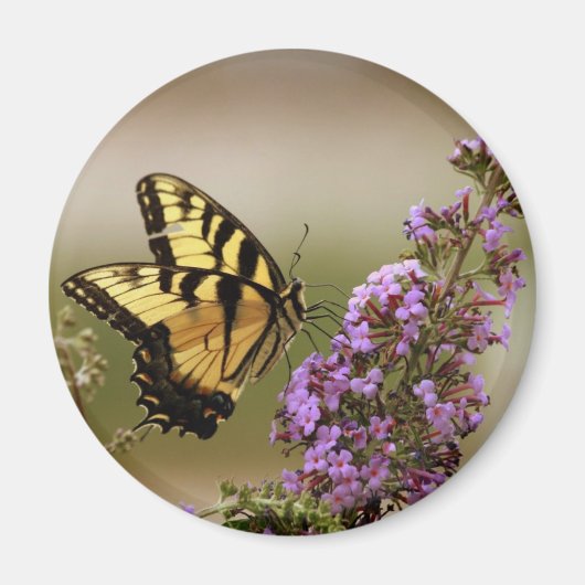 Butterfly Magnet (Vorne)