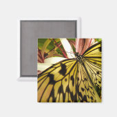 Butterfly Magnet (Vorderseite/Rückseite)