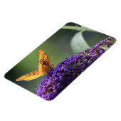 Butterfly Magnet (Linke Seite)