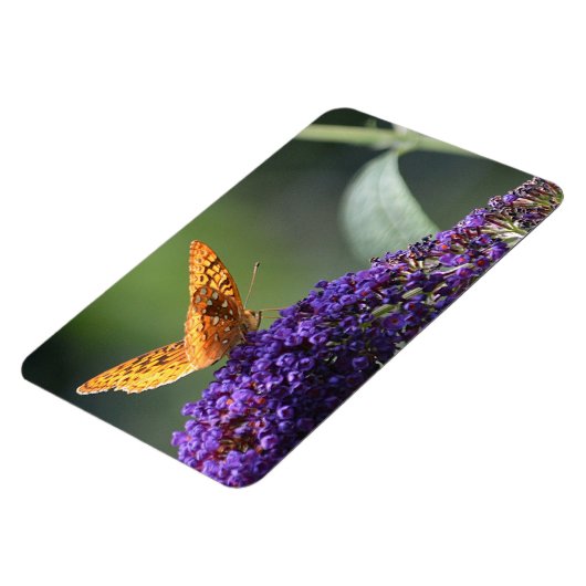 Butterfly Magnet (Linke Seite)