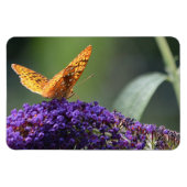 Butterfly Magnet (Horizontal)