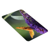 Butterfly Magnet (Rechte Seite)