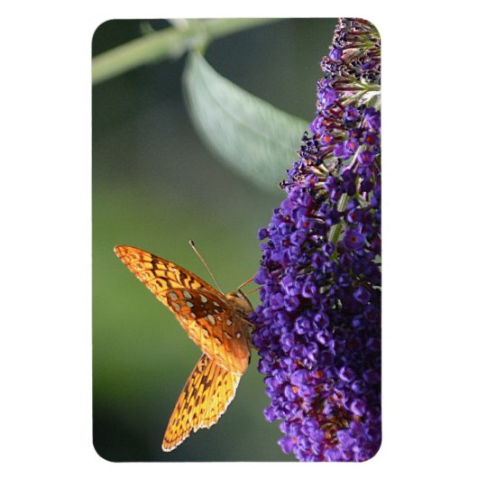 Butterfly Magnet (Vertikal)