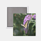 Butterfly-Magnet Magnet (Vorderseite/Rückseite)