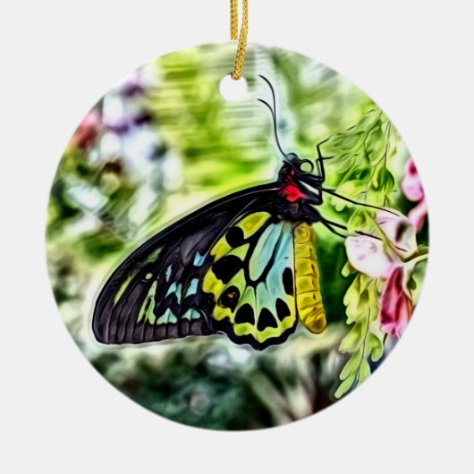 Butterfly-Malerei Keramik Ornament (Vorne)