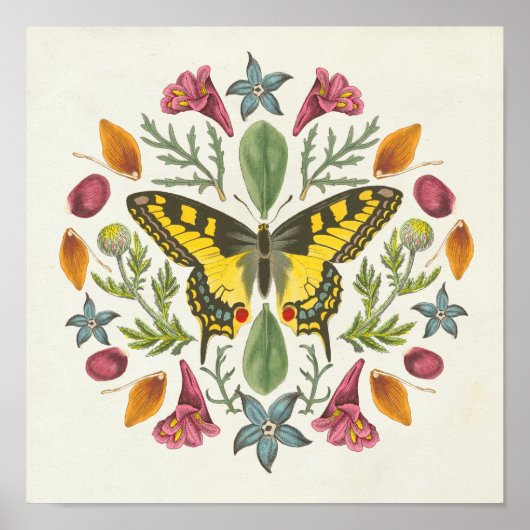 Butterfly Mandala Poster (Vorne)