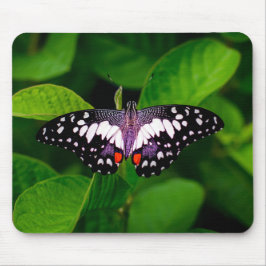 Butterfly-Maus-Matte Mousepad