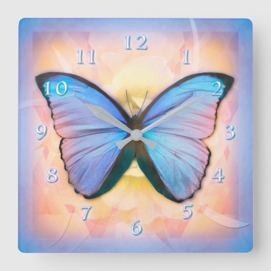 BUTTERFLY METAMORPHOSE QUADRATISCHE WANDUHR (Vorderseite)