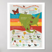Butterfly Migration Poster (Vorne)