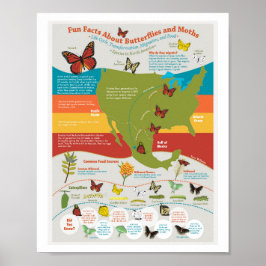 Butterfly Migration Poster