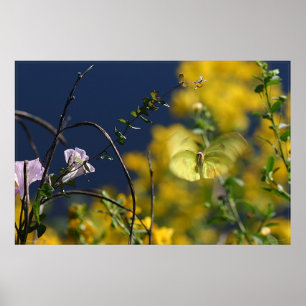 Butterfly Moment Poster -36x24 -kleiner erhältlich
