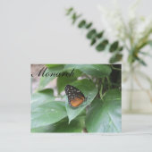 Butterfly Monarch # 3 Postkarte (Stehend Vorderseite)