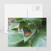 Butterfly Monarch # 3 Postkarte (Vorne/Hinten)