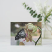 Butterfly Monarch # 4 Postkarte (Stehend Vorderseite)