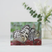 Butterfly Monarch # 5 Postkarte (Stehend Vorderseite)