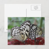 Butterfly Monarch # 5 Postkarte (Vorne/Hinten)