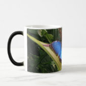 Butterfly Morph Tasse (Links)