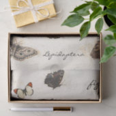 Butterfly Moth Dragonfly Ladybug Insect Parchment Seidenpapier (Geschenk)