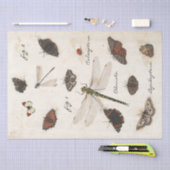 Butterfly Moth Dragonfly Ladybug Insect Parchment Seidenpapier (Handwerk)