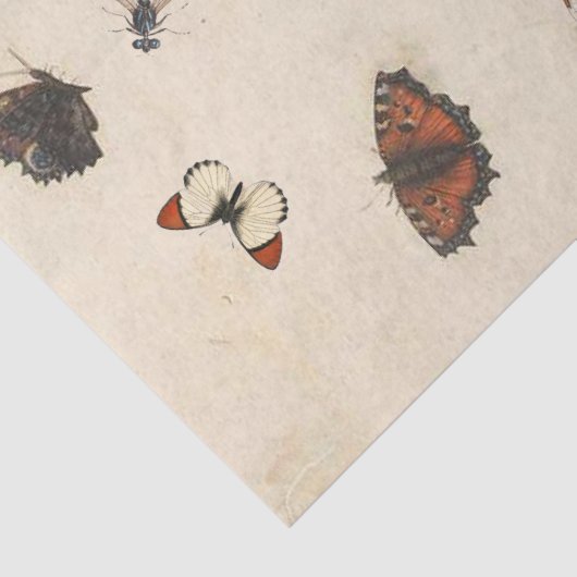 Butterfly Moth Dragonfly Ladybug Insect Parchment Seidenpapier (Detail)