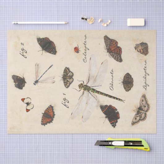 Butterfly Moth Dragonfly Ladybug Insect Parchment Seidenpapier (Handwerk)