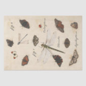 Butterfly Moth Dragonfly Ladybug Insect Parchment Seidenpapier (Vorderseite)