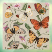 Butterfly Moth Nature Collection Zeichnend Fensteraufkleber (Blatt 3)