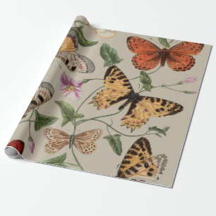 Butterfly Moth Nature Collection Zeichnend Geschenkpapier