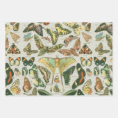 Butterfly Moth Nature Collection Zeichnend Geschenkpapier Set (Vorderseite 2)