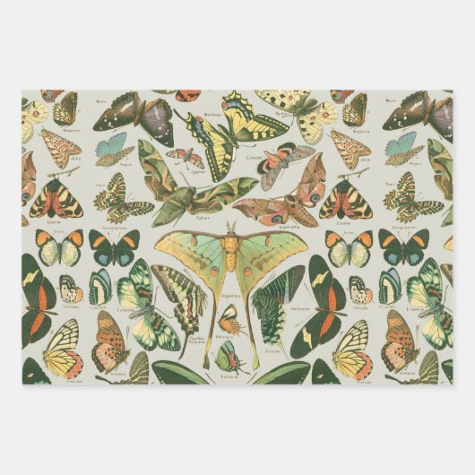 Butterfly Moth Nature Collection Zeichnend Geschenkpapier Set (Vorderseite 2)