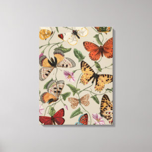 Butterfly Moth Nature Collection Zeichnend Leinwanddruck
