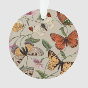 Butterfly Moth Nature Collection Zeichnend Ornament