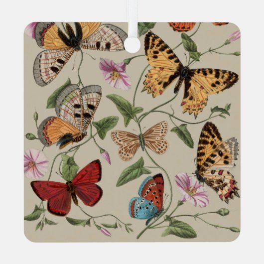 Butterfly Moth Nature Collection Zeichnend Ornament Aus Metall (Rückseite)