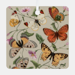 Butterfly Moth Nature Collection Zeichnend Ornament Aus Metall