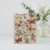 Butterfly Moth Nature Collection Zeichnend Postkarte (Stehend Vorderseite)