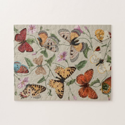 Butterfly Moth Nature Collection Zeichnend Puzzle (Horizontal)