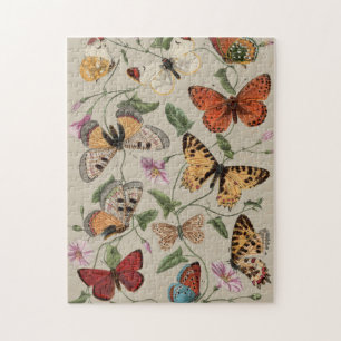 Butterfly Moth Nature Collection Zeichnend Puzzle