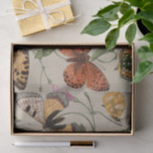 Butterfly Moth Nature Collection Zeichnend Seidenpapier (Geschenk)