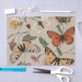 Butterfly Moth Nature Collection Zeichnend Seidenpapier (Handwerk)
