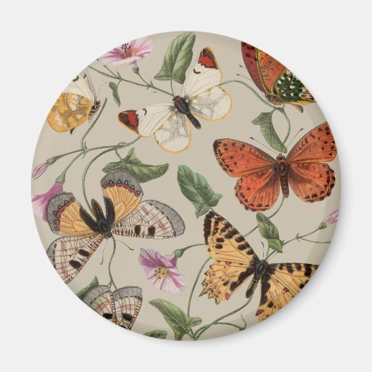 Butterfly Moth Nature Zeichnend antikes Aquarell Magnet (Vorne)