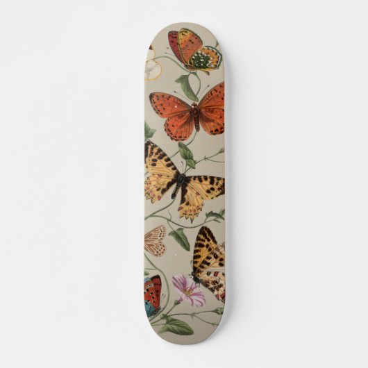 Butterfly Moth Nature Zeichnend antikes Aquarell Skateboard (Vorne)