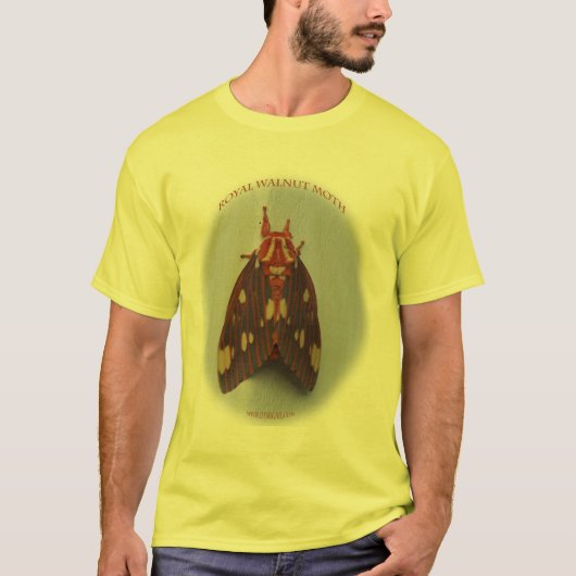 butterfly_moth_royal_walnut_9747 T-Shirt (Vorderseite)