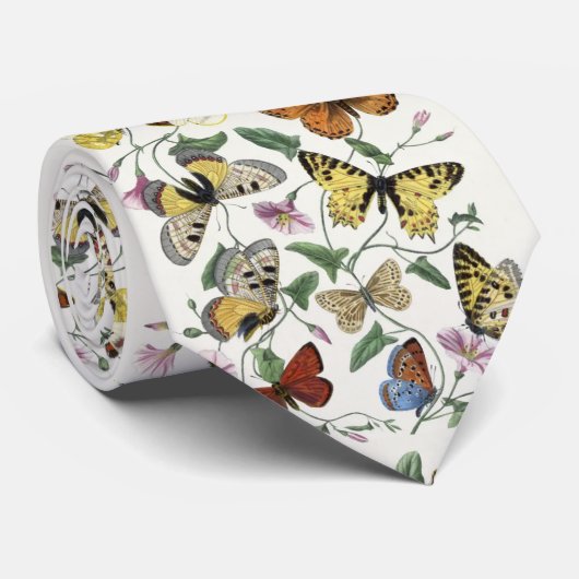 Butterfly & Moth von Paul Gervais Krawatte (Gerollt)