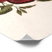 Butterfly & Moth von Paul Gervais Poster (Ecke)