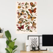 Butterfly & Moth von Paul Gervais Poster (Heimbüro)